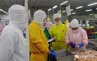 切磋技藝 提升專業(yè)水平—石羊涇河食品公司成功舉辦技能比武活動