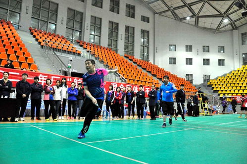 航泰杯職工羽毛球團(tuán)體賽圓滿落幕，飾品銷售助力賽事氛圍